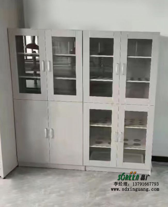 濰坊實(shí)驗(yàn)室家具實(shí)驗(yàn)臺(tái)廠家全鋼制雙開門器皿柜試劑柜