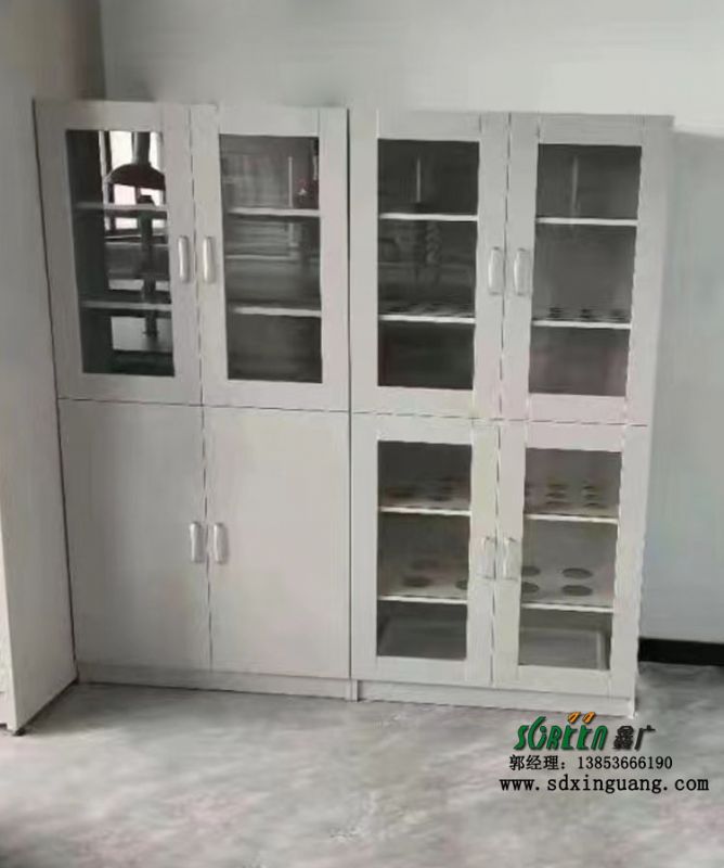 濰坊實(shí)驗(yàn)臺(tái) 化驗(yàn)室儀器柜 實(shí)驗(yàn)室家具 全鋼器皿柜
